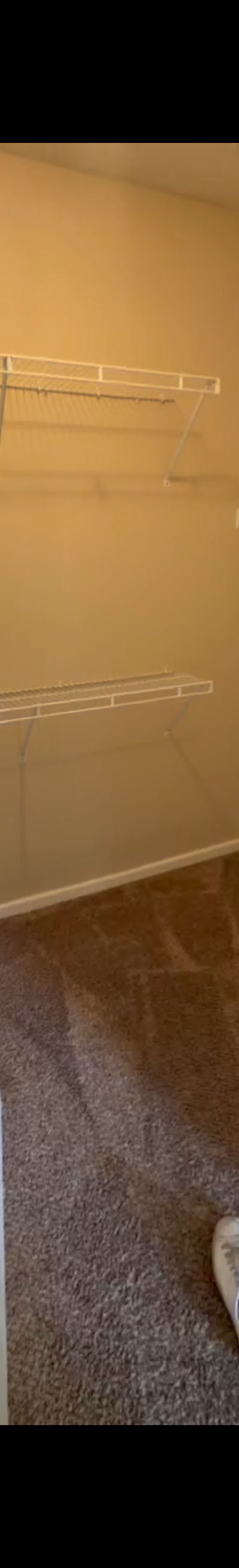 Room photo, 1901 N Lincoln Ave, Urbana, IL 61801