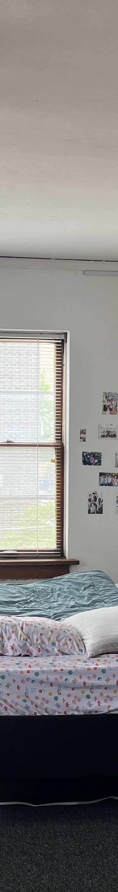 Room photo, 909 S 1st St, Champaign, IL 61820